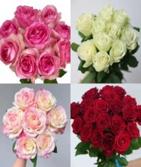 Intermediate Rose Farm