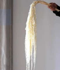 Amaranthus White