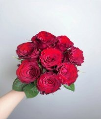 T-Hybrid Rose Red Rugosamore