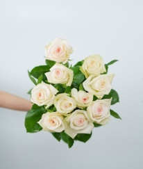 T-Hybrid Rose Xuebaochai
