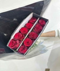 T-Hybrid Rose Red Rugosamore