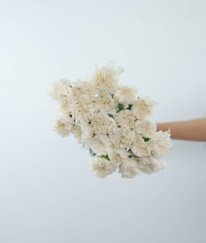 Sim Carnation White