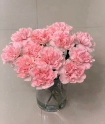Sim Carnation Pink