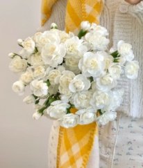 Spray Carnation White Jasmine
