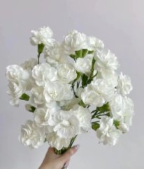 Spray Carnation Generosity White