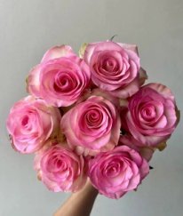 Premium Rose Aqua Spirit