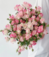 Spray Rose Reflex