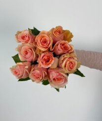 T-Hybrid Rose Nami