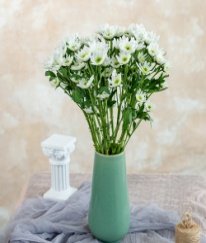 Chrysanthemum Spray Rui White