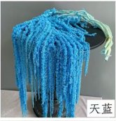 Amaranthus Sky‑Blue